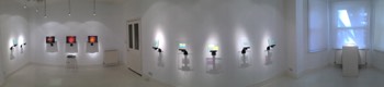 exhibition at Gallery 286