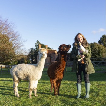 Ducks & Lamas