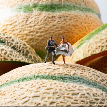 Can'telope