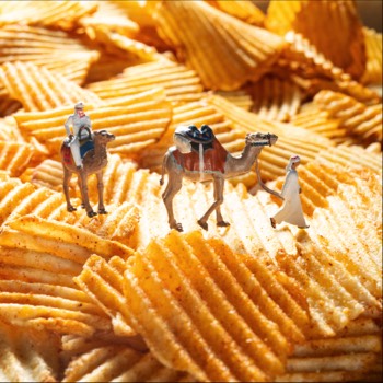 Chips of the desert